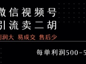 视频号卖二胡教程,利润大 易成交 售后少,一单利润5张+