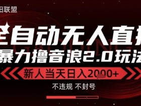 太阳联盟-最新独家2.0技术抖音无人直播撸音浪,黑科技全自动运行,低门槛,新手当天日入2k+【揭秘】