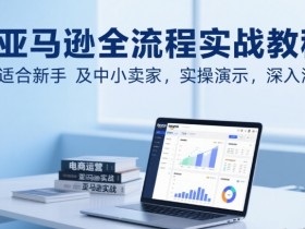 亚马逊全流程实战教程,适合新手及中小卖家,实操演示,深入浅出