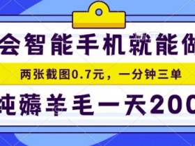 2025年零撸手机项目,二十秒一单,纯薅羊毛,一天200+做就有【揭秘】