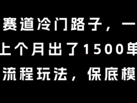 中老年赛道冷门路子,一单788,上个月出了1500单,全流程玩法,保底模式【揭秘】