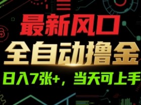 最新风口,全自动撸金,日入7张+,当天可上手【揭秘】