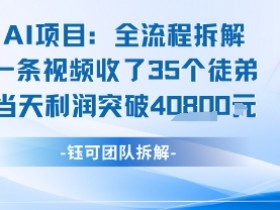 AI收徒变现闭环:一条视频收35人,日入1k+(附完整SOP)