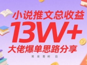 小说推文总收益13W+大佬爆单思路分享,常青树项目