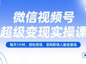 微信视频号超级变现实操课,每天1小时,轻松变现,宝妈职场人副业首选