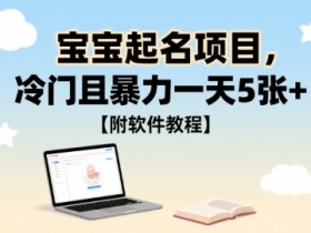 宝宝起名项目,冷门且暴力一天5张+【附软件教程】