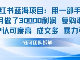 小红书蓝海项目,一部手机单月做了3W利润,小白也能月入过1W用户认可度高成交多