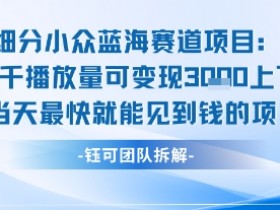 小众蓝海赛道项目:当天变现1k+适合新手操作 +适合长期玩