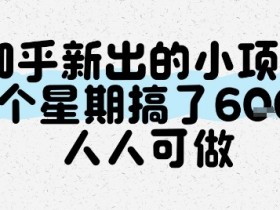 知乎新出的小项目,一个星期搞了6张,人人可做
