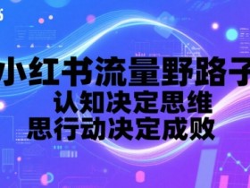 小红书流量野路子,认知决定思维,思维决定行动,行动决定成败