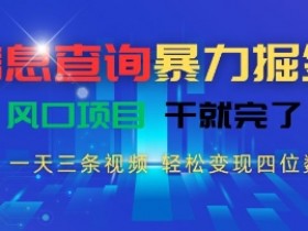 信息查询暴力掘金,一天三条视频,轻松变现四位数,风口项目干就完了【揭秘】