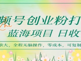 视频号创业粉打法,日入1k,蓝海项目,市场需求大,全程无脑操作,可复制