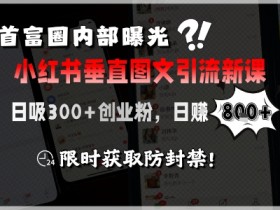首富圈内部曝光小红书垂直图文引流新课,日吸300+创业粉,日入8张+,限时获取防封禁