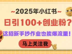 2025年小红书日引100+创业粉?这招新手抄作业也能爆流量!