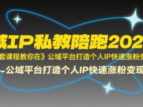 全域IP私教陪跑2025年,这套课程教你在公域平台打造个人IP快速涨粉变现