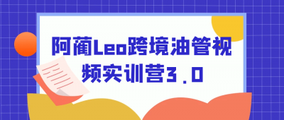 新媒体运营阿蔺Leo跨境油管视频实训营3.0