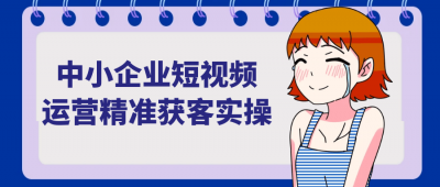 新媒体运营中小企业短视频运营精准获客实操