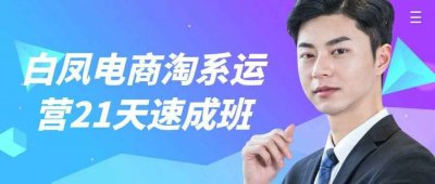 新媒体运营白凤电商淘系运营21天速成班