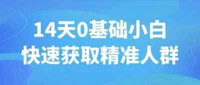 其他教程14天0基础小白快速获取精准人群
