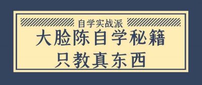 其他教程大脸陈自学秘籍只教真东西