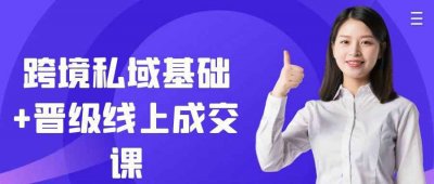 新媒体运营跨境私域基础+晋级线上成交课