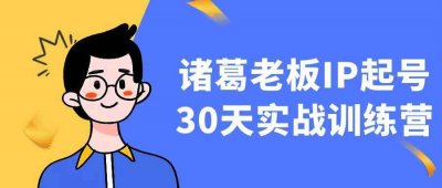 新媒体运营诸葛老板IP起号30天实战训练营