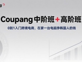 Coupang中阶班+高阶班,0到1入门跨境电商,在家一台电脑挣韩国人的钱
