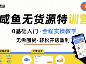 无货源特训营,0基础带你玩转咸鱼无货源