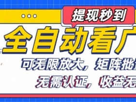 全自动看广告项目,可无限放大,可矩阵批量操作