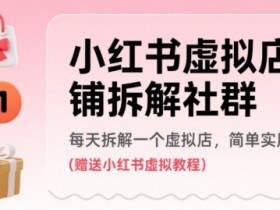 小红书虚拟店铺拆解社群,每天拆解一个虚拟店,简单实用(赠送小红书虚拟教程)