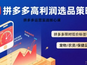 拼多多选品暴利技术实战课,拼多多高利润选品策略,拼多多限时低价标签秘诀