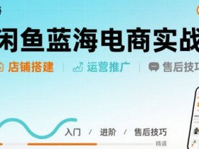 闲鱼蓝海电商实战,店铺搭建运营售后全流程