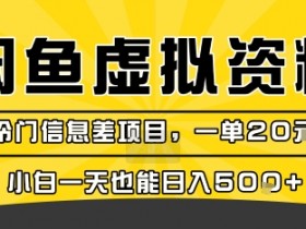 咸鱼虚拟资料变现,冷门信息差项目,一单20米,小白一天也能日入5张+