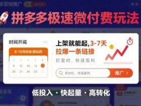 8月26号拼多多极速微付费玩法,8-10月份必须玩的,上架就能起,3-7天拉爆一条链接