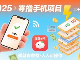2025年零撸手机项目,二十秒一单,纯薅羊毛 一天2张+做就有【揭秘】
