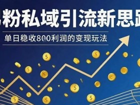 男粉私域引流新思路,单日稳收8张利润的变现玩法