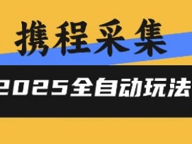 2025携程信息采集全自动玩法,高单价,零人工,全天开干【揭秘】