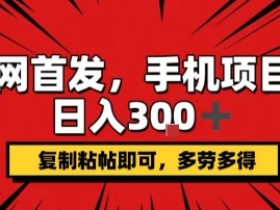 手机项目,日入3张+,复制黏贴即可,可矩阵操作,动手不动脑【揭秘】