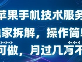 苹果手机技术服务,独家拆解,操作简单,小白可做,月过1W不是梦