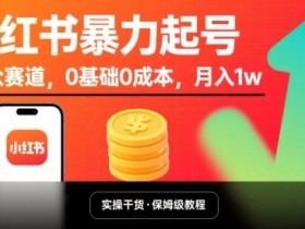 小红书暴力起号,小众赛道,0基础0成本,月入1w
