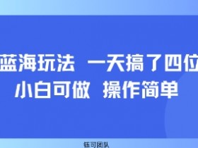 小众蓝海玩法 一天搞了四位数 小白可做 操作简单