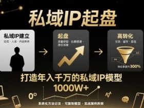 私域IP起盘,私域ip建立、起盘、高转化,打造年入千万的私域ip模型