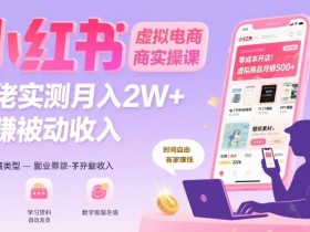 小红书虚拟电商,大佬实测月入2W+,实现被动收入