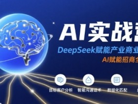 AI实战营:DeepSeek赋能产业商业招商,AI赋能招商全流程