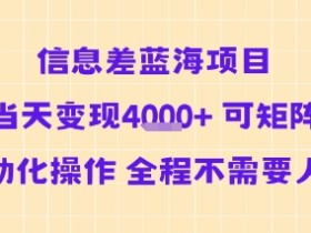 信息差蓝海项目当天变现多张 可矩阵自动化操作 全程不需要人工