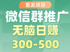 首发项目,微信群推广,一天15单,每单利润10米,无脑日入3-5张【揭秘】