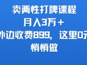 卖两性打牌课程,月入3W+外边收费899的课程,这里0元,悄悄做