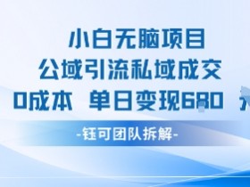 小白无脑项目公域引流私域成交0成本单日变现680米