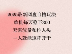 2025最新网盘自撸玩法,单机每天稳下3张,无需流量和拉人头,一个人就可轻松矩阵,全网独一份【揭秘】