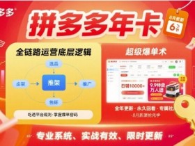 拼多多年卡【8月更新6节】拼多多全链路运营底层逻辑,超级爆单术